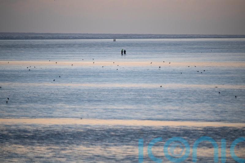 Sharkey says Government to blame for ‘sorry mess’ of sewage on our beaches