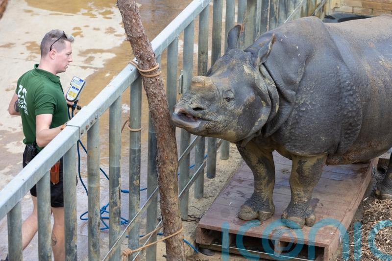 Staff at UK’s largest zoo measure 10,000 animals in their annual weigh-in