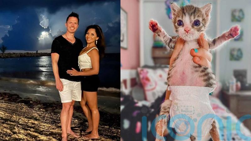 VIDEO: This paralysed cat wears a nappy and is the feisty boss of her house