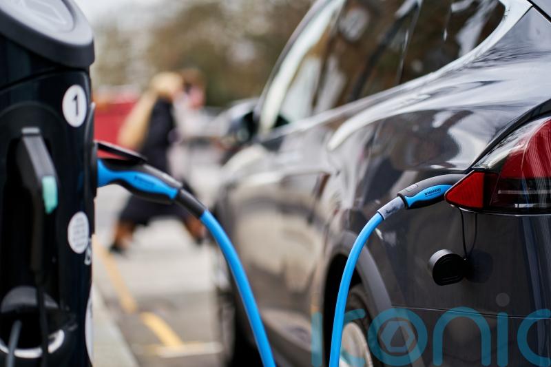Rising cost of low-end electric cars ‘could put them out of reach’
