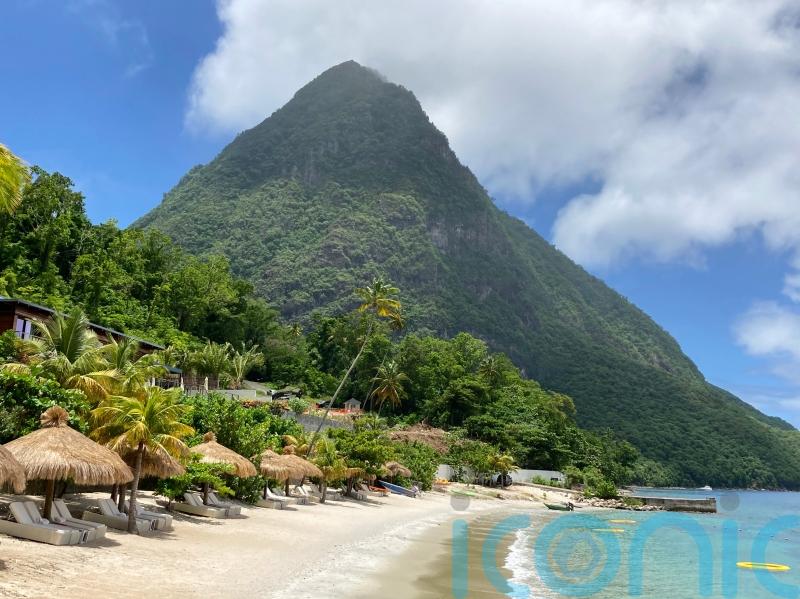 Why it’s time to re-energise with flower power on botanic beauty St Lucia