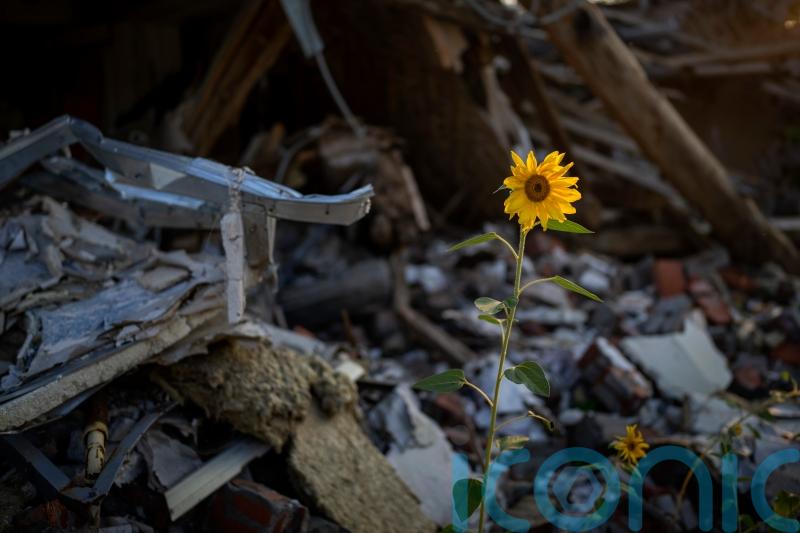 UN agency to inspect Ukraine nuclear plant in urgent mission
