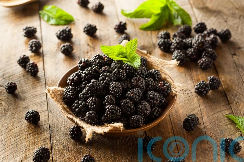 How to grow your own blackberries
