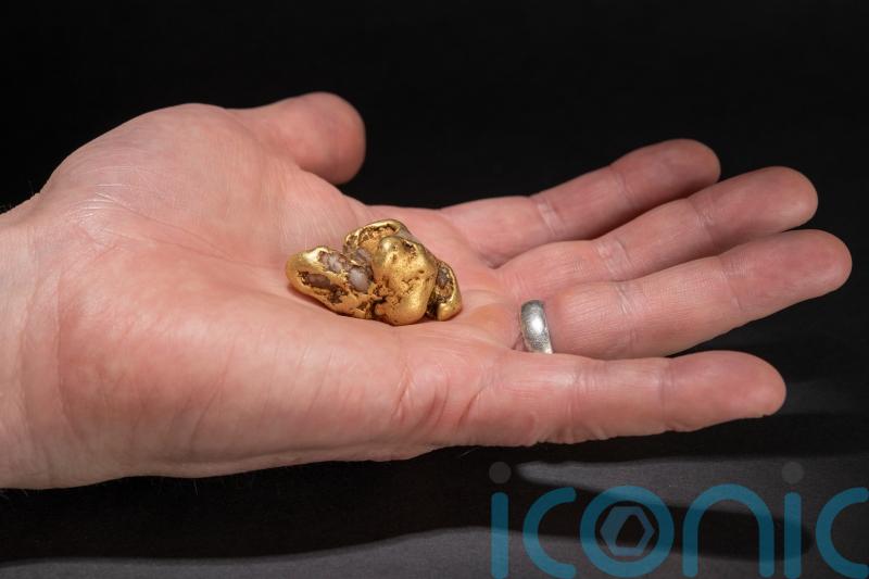 Largest gold nugget found in Scotland in over 400 years goes on display