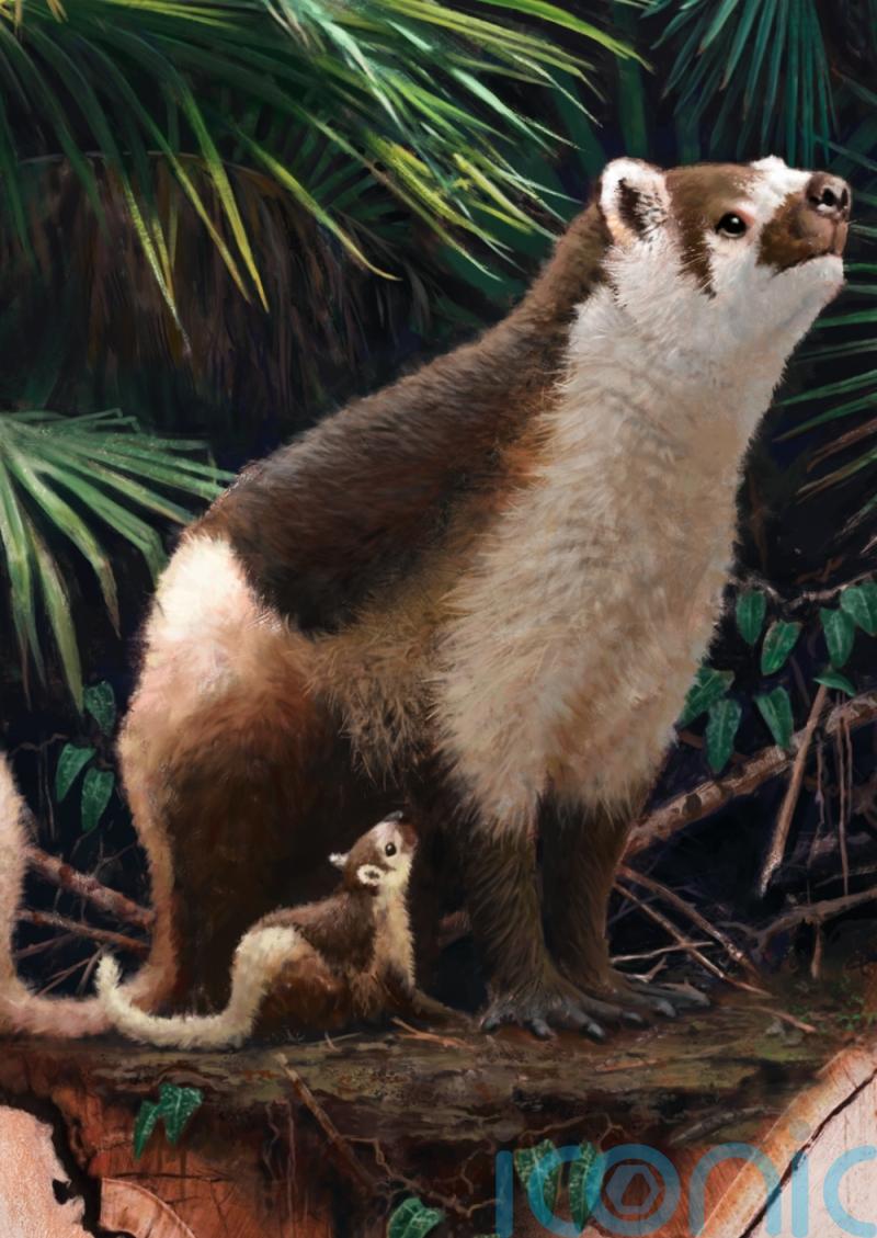 Prehistoric mammals grew up twice as fast, research suggests