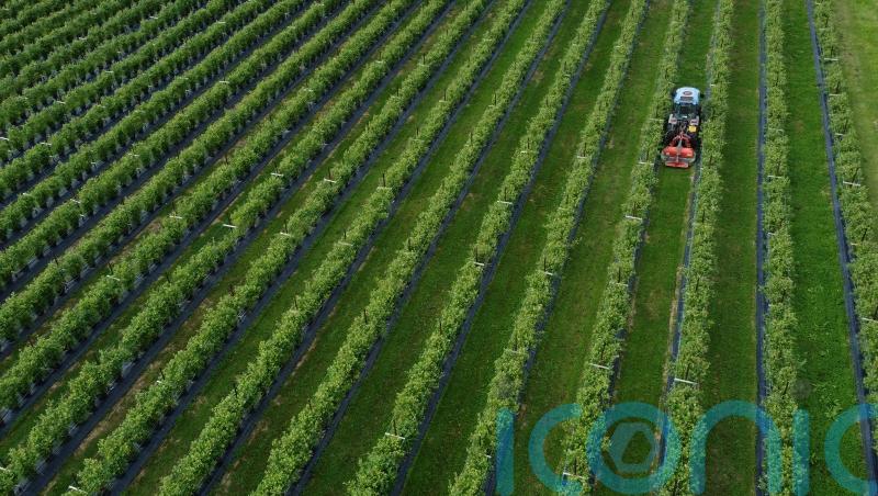 Gas prices to push up farmers’ fertiliser costs by nearly £2bn