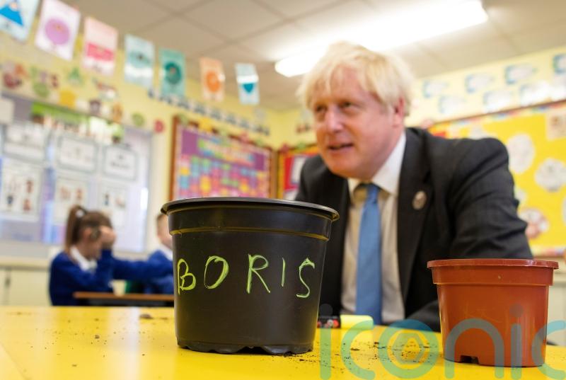 What the latest opinion polls say about the Conservatives and Boris Johnson
