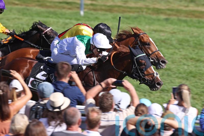 Piechulek dreaming of another Arc – this time with Mendocino