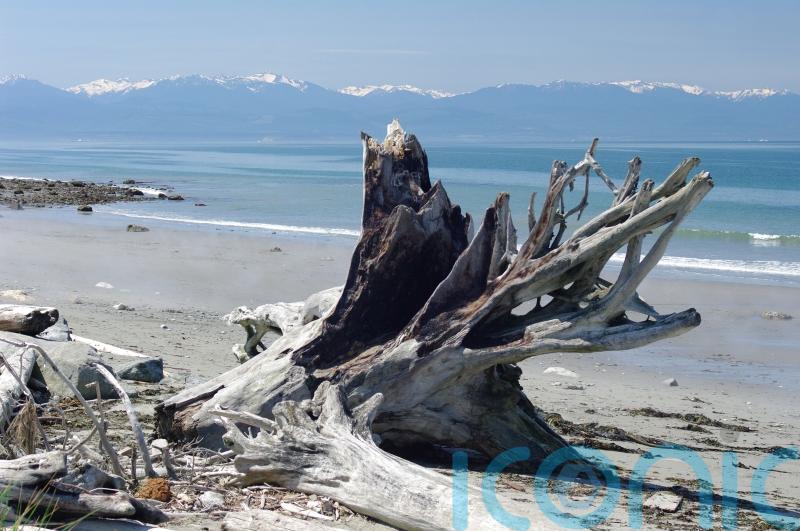 At least one dead and eight missing after seaplane crash near Seattle
