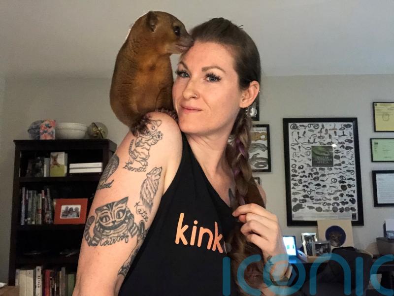 Animal-mad woman turns her home into a rescue sanctuary and has the ashes of her beloved dead cat and a tragic baby fox tattooed into her skin