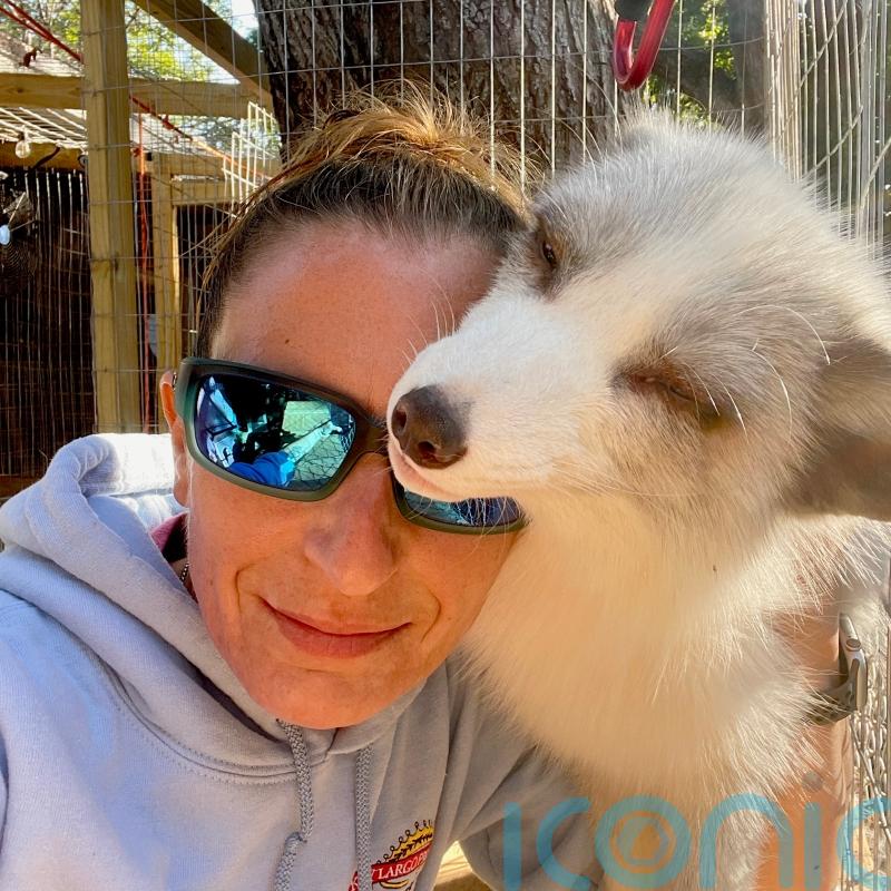 Animal lover welcomes 7 foxes into her home – and accepts they might chew her shoes or “do their business on the floor”