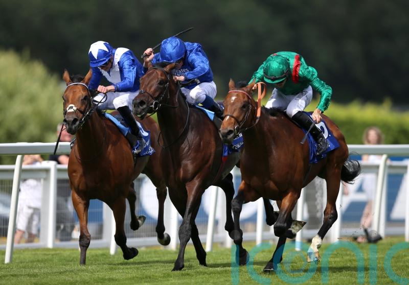 Irish Champion Stakes set to headline stellar weekend
