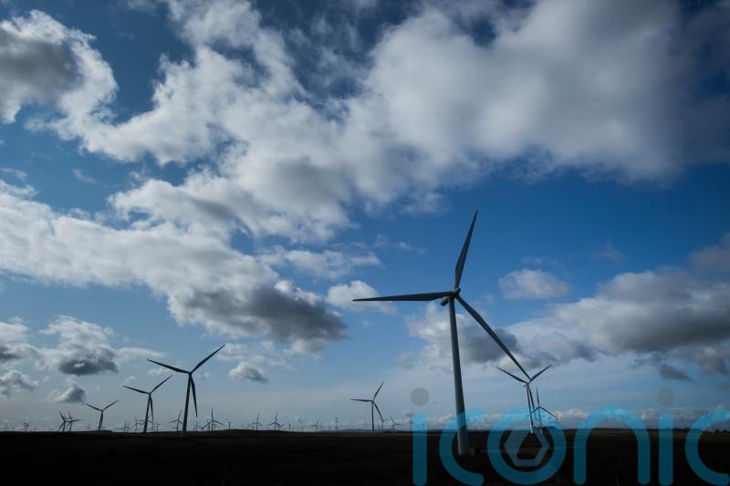 Public backs wind and solar farms to reduce energy bills, poll suggests