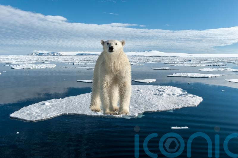 The best bucket list icy holidays inspired by Frozen Planet II