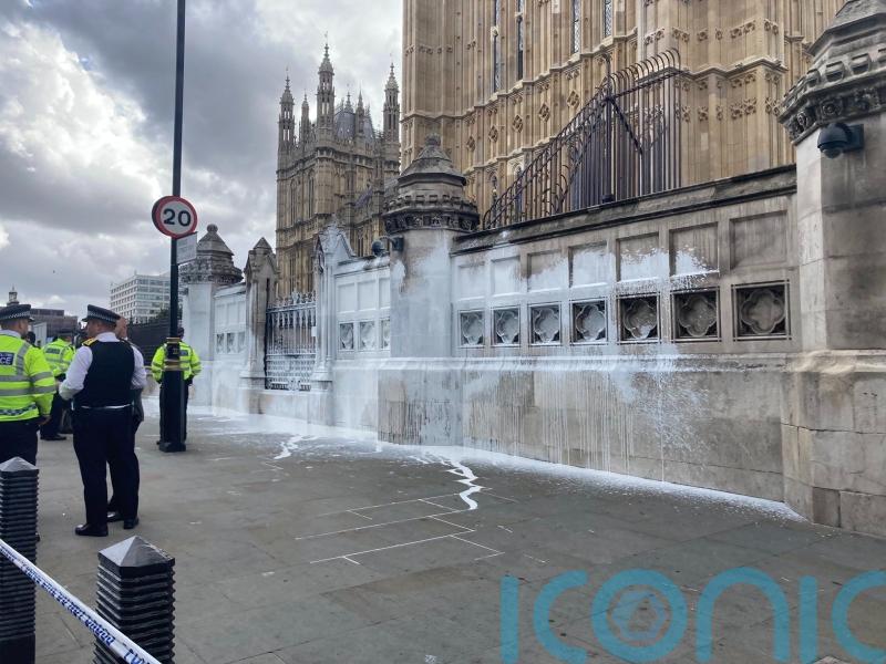 Animal Rebellion activists arrested after dairy farms protest outside Parliament