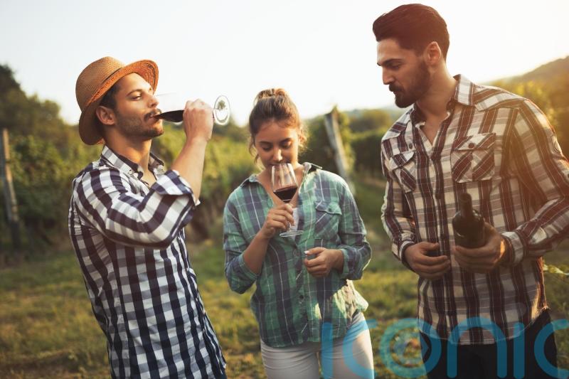 6 perky pinots to sip and savour right now