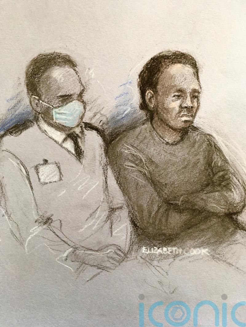 Man admits stabbing four members of same family to death but denies murder