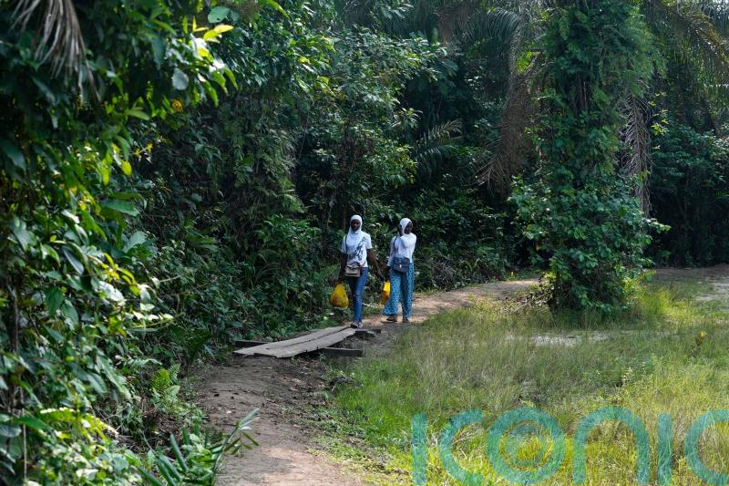 Africa looks to grow its carbon market with forest schemes