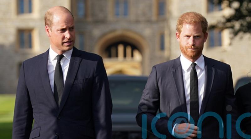 In Pictures: Brothers united in grief for Windsor Castle walkabout