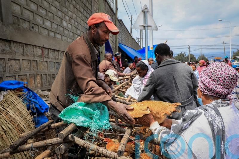 Ethiopia’s economy struggles as war reignites in Tigray