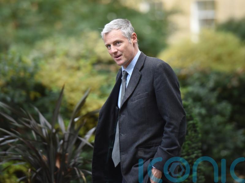Tory peer Zac Goldsmith sacked as environment minister
