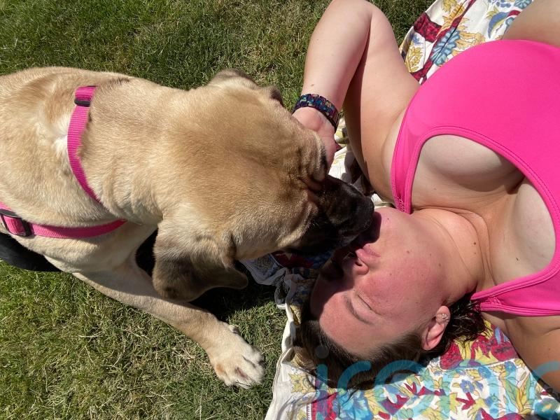 Video: Paraplegic pooch goes viral after ditching her wheelchair to ‘run around like a T-Rex’