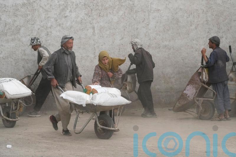 UN food chief warns of ‘tsunami of hunger’