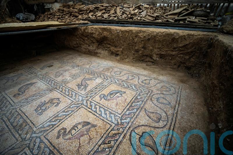 Palestinian farmer discovers rare ancient treasure in Gaza