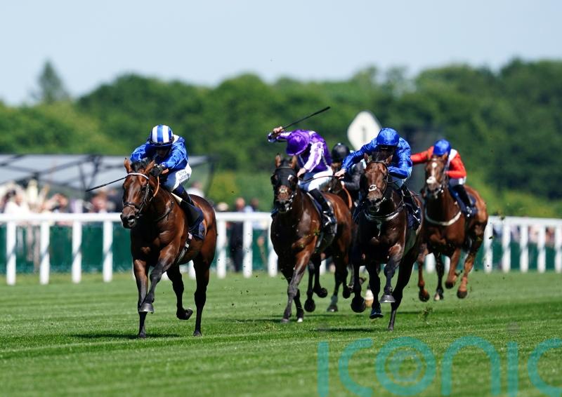 Ascot gearing up for Baaeed’s Champion Stakes swansong