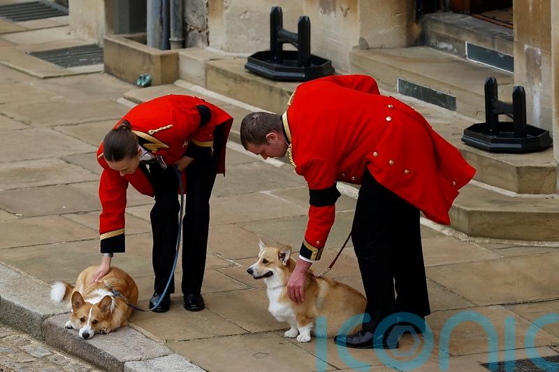 Queen’s corgis and favourite pony play poignant role in Windsor farewell