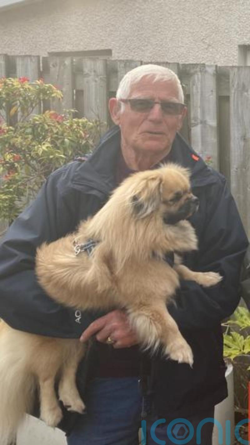 83-year-old dog walker who died after being hit by lorry named