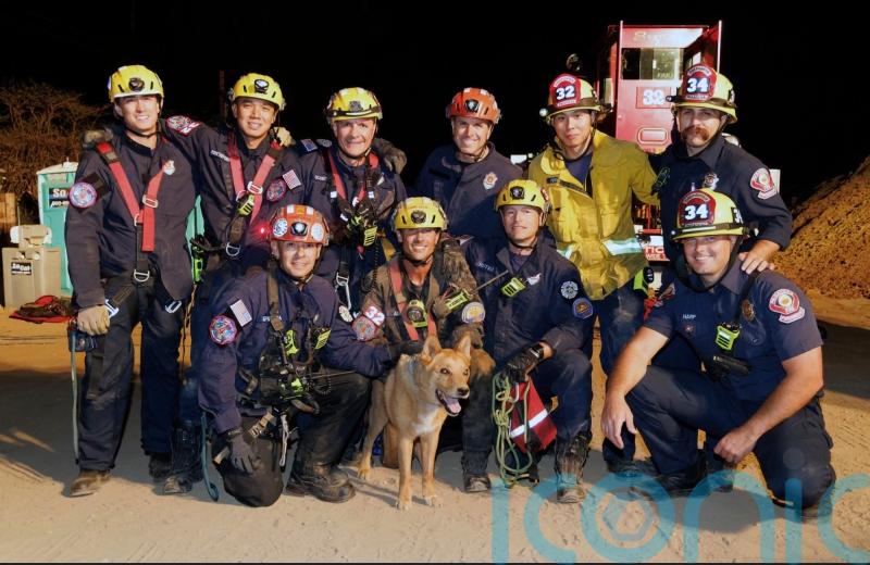 Blind dog rescued from hole at California construction site