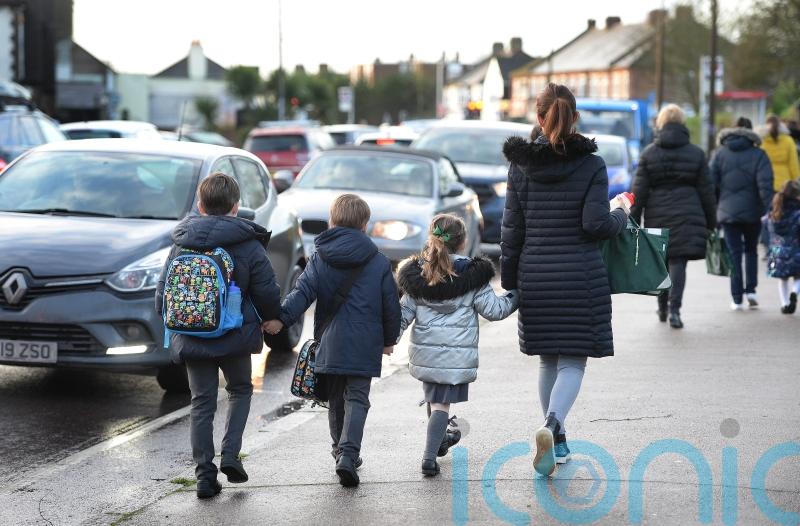 Campaigners call for details over plans to reduce car use by 20%