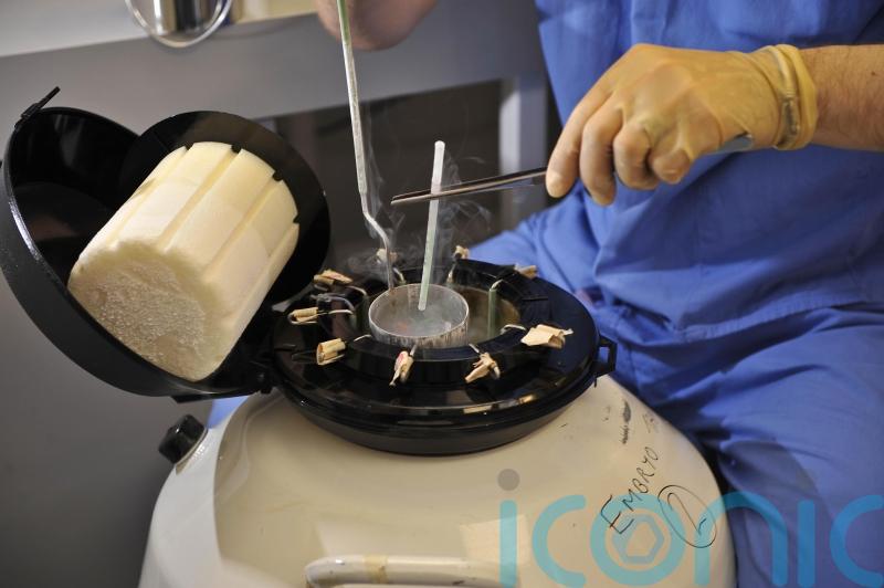 Private IVF patients not getting all facts to make informed decisions – watchdog