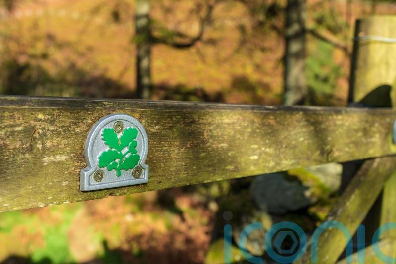National Trust: Government going in ‘opposite direction’ to protecting nature