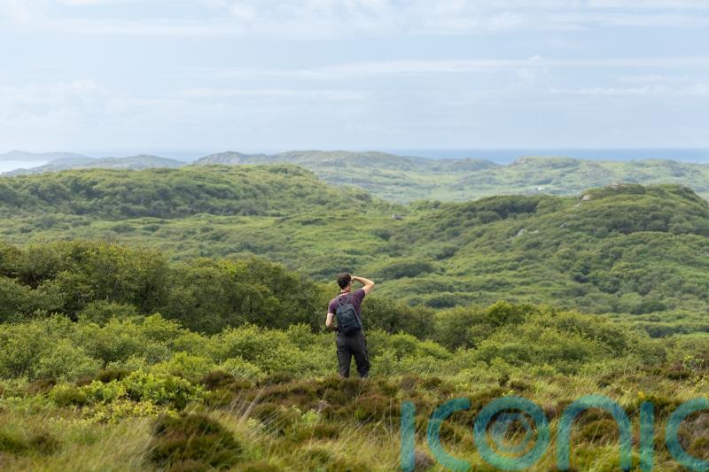 Rewilding network expands to 50 sites