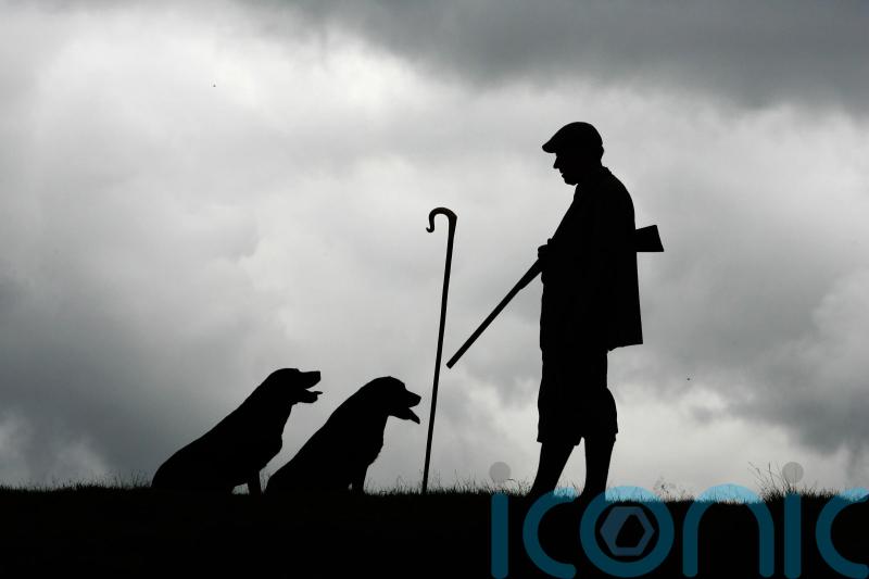 MSPs seek clarity over proposed new hunting with dogs laws