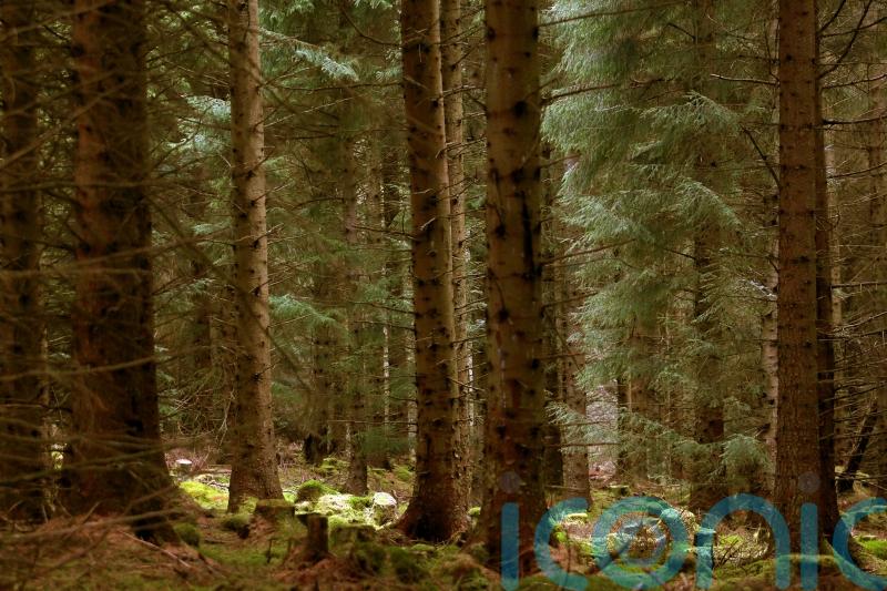Number of community-owned assets in Scotland grew by 7% last year