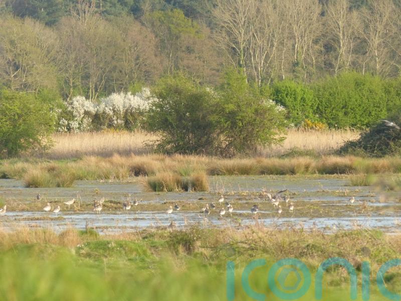 Keep up pressure to ensure landscape recovery scheme remains – conservationist