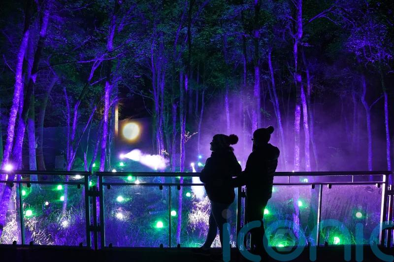Enchanted Forest returns to offer ‘magical experience’ after two-year hiatus