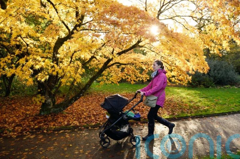 Expect muted autumn colours after summer’s drought, nature lovers told