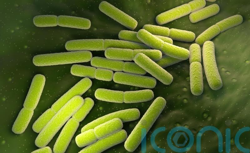 Five cases of E.coli confirmed in South Lanarkshire
