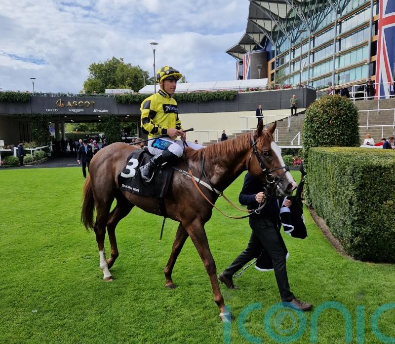 Manaccan untroubled by ground in Rous Stakes success