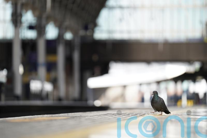 Fresh rail strike to cause more travel chaos