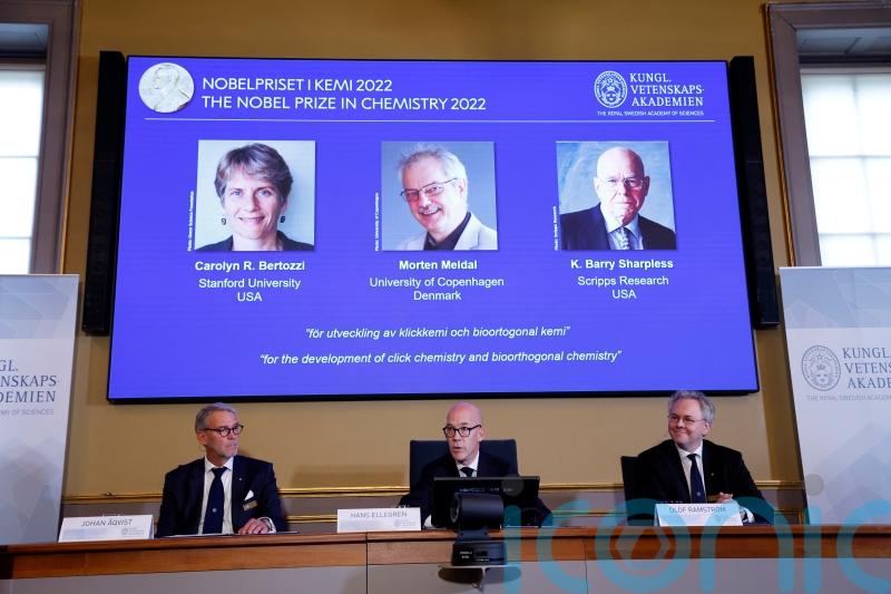 Nobel Prize for chemistry goes to trio for work on molecule attachment