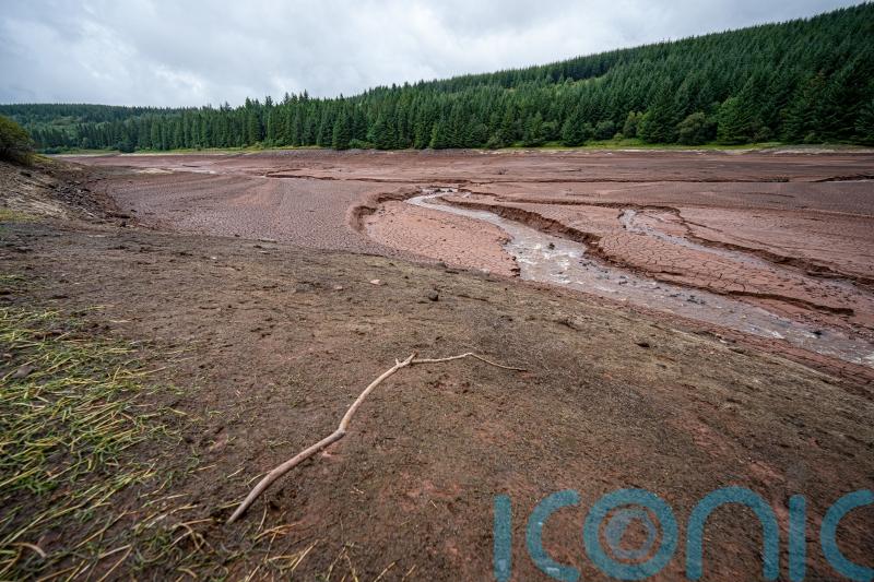 Climate change made ‘summer drought 20 times more likely in Northern Hemisphere’