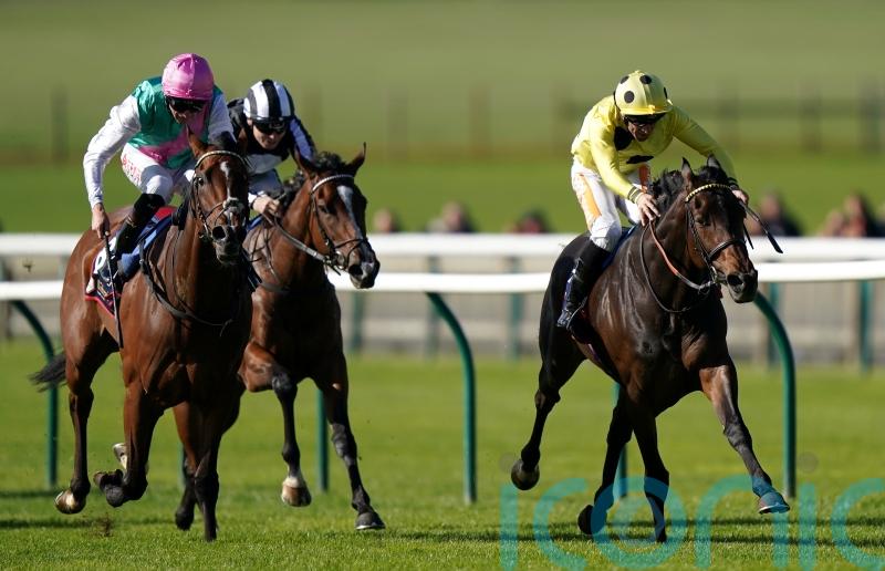 Laurel will be back next year after Group One near-miss