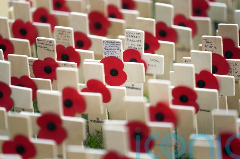 Minister confirms free train travel for veterans to attend remembrance services