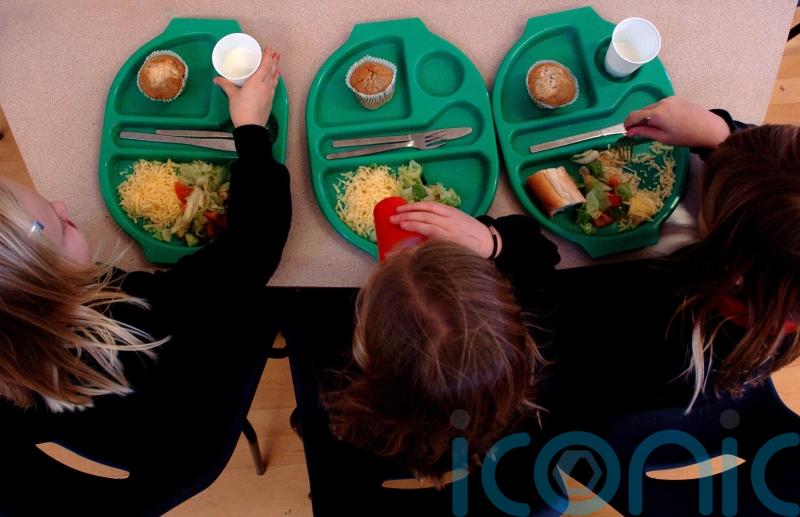 School meals industry ‘on its knees’ with shortages and rising costs – survey