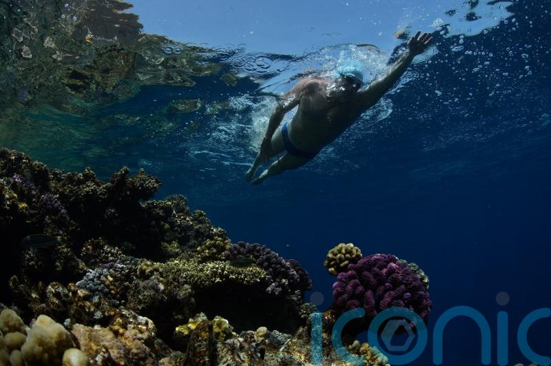 Endurance swimmer Lewis Pugh in Red Sea swim to highlight climate coral crisis